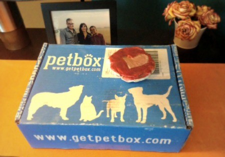PetBox + Toy Australian Shepherd | latinaonamission.com