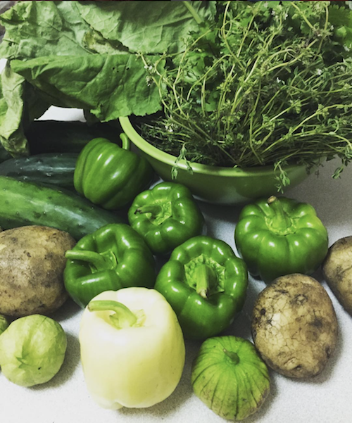 Green peppers, white peppers, lettuce, potatoes, picked from NYC rooftop garden 